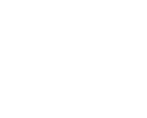 anne semonin